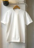 画像2: 【Hanes T-SHIRT SHIRO CREW-NECK】ヘインズ Tシャツ 白 クルーネック(white)