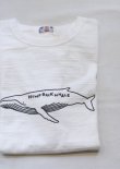 画像1: 【u.m.i slab cotton s/s tee hump back whale, made in japan】ユーエムアイ スラブコットン 半袖Tee, 日本製(white)