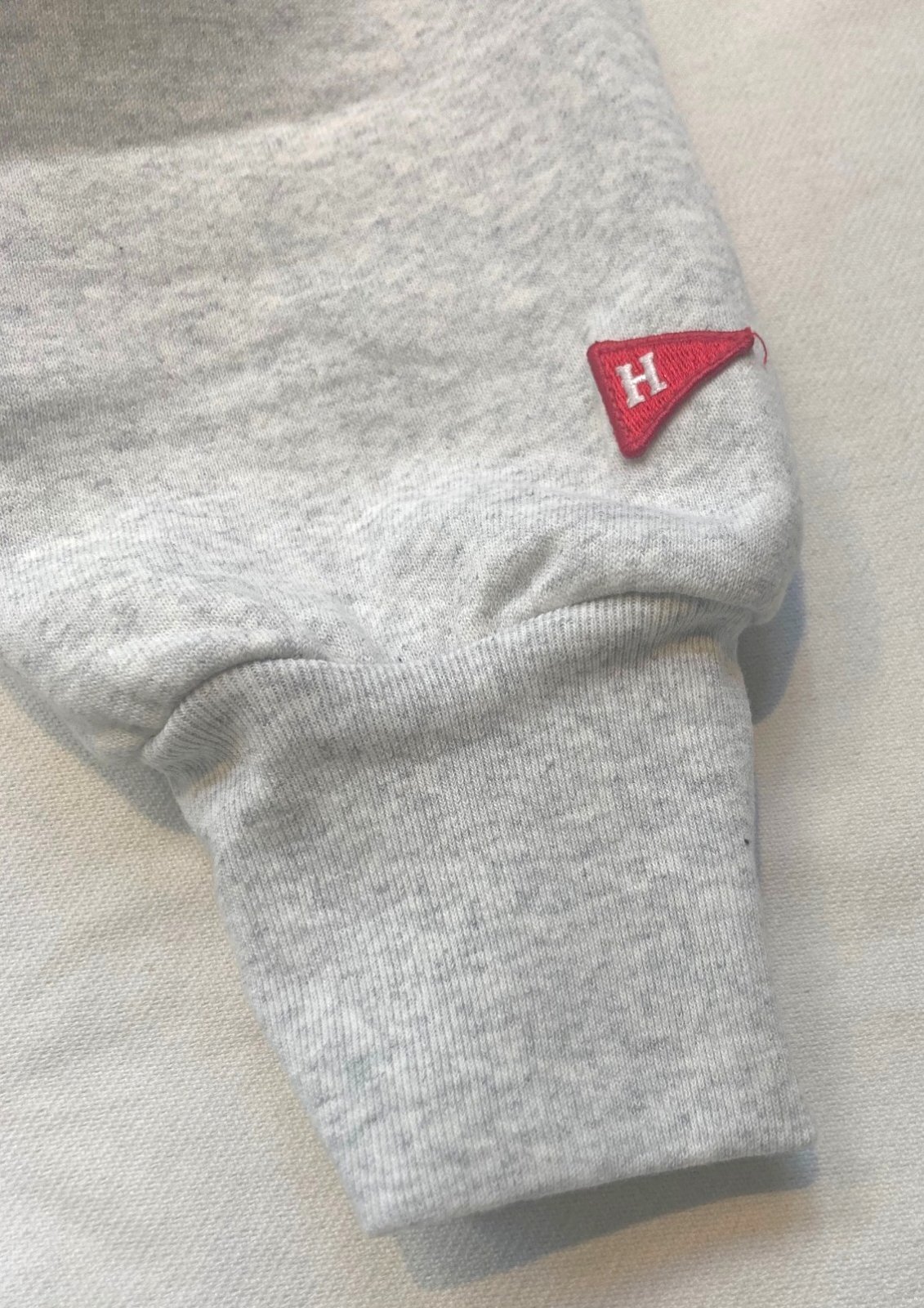 画像6: 【Healthknit Classic Sweat Crew-neck/ BEETHOVEN】ヘルスニット クラシック スウエット クルーネック/ベートーヴェン (ash)